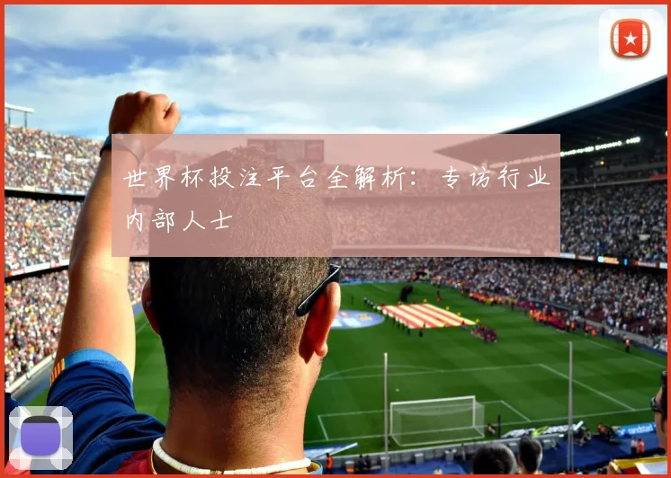 世界杯投注平台全解析：专访行业内部人士