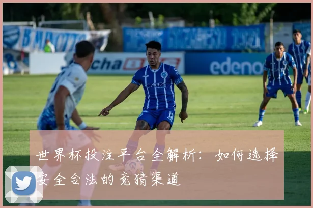世界杯投注平台全解析：如何选择安全合法的竞猜渠道