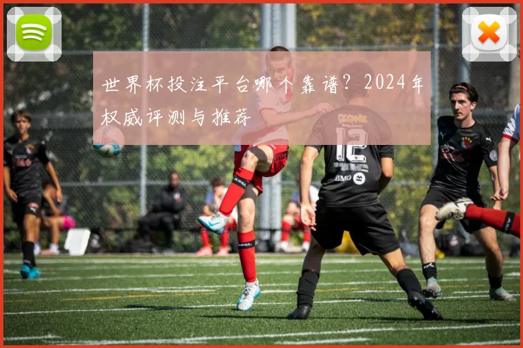 世界杯投注平台哪个靠谱？2024年权威评测与推荐