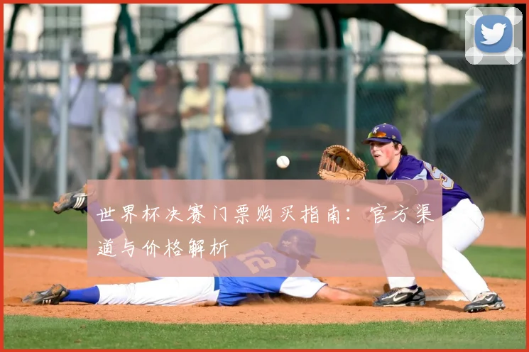 世界杯决赛门票购买指南:官方渠道与价格解析