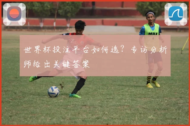 世界杯投注平台如何选?专访分析师给出关键答案