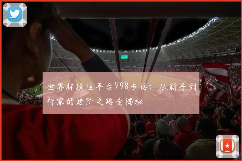 世界杯投注平台V98专访:从新手到行家的进阶之路全揭秘