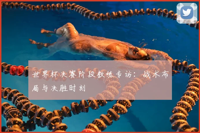 世界杯决赛阶段教练专访：战术布局与决胜时刻
