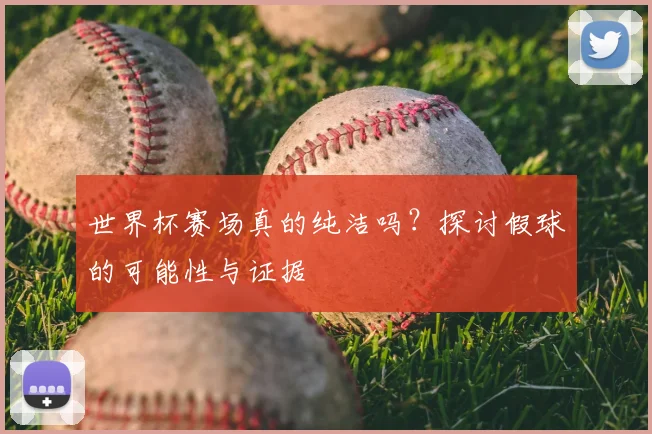 世界杯赛场真的纯洁吗?探讨假球的可能性与证据