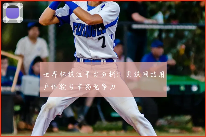 世界杯投注平台分析:贝投网的用户体验与市场竞争力
