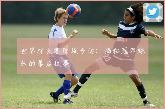 世界杯决赛阶段专访：揭秘冠军球队的幕后故事