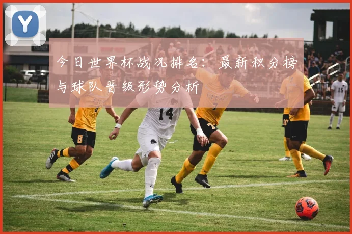 今日世界杯战况排名:最新积分榜与球队晋级形势分析