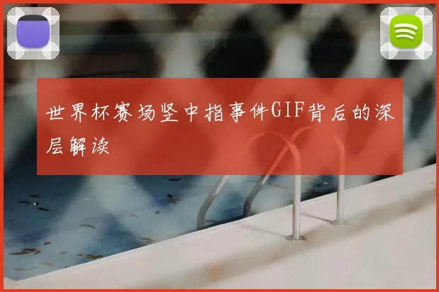 世界杯赛场竖中指事件GIF背后的深层解读