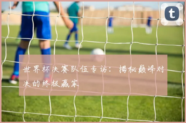 世界杯决赛队伍专访：揭秘巅峰对决的终极赢家