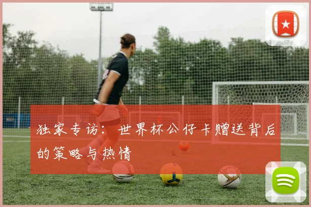独家专访:世界杯公仔卡赠送背后的策略与热情